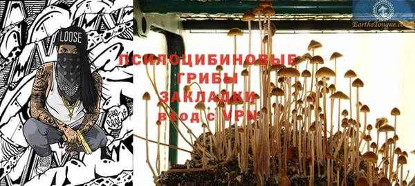 твердый Белоозёрский