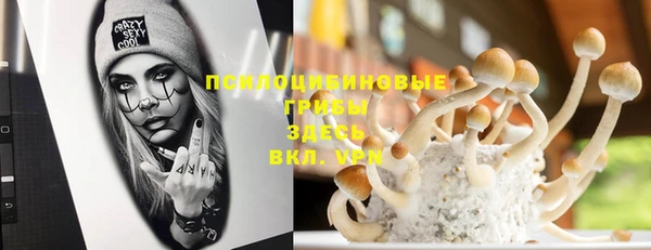 стафф Беломорск