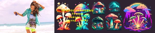 гидропоника Богородск