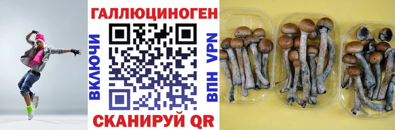 Галлюциногенные грибы Magic Shrooms  omg как войти  Выборг 